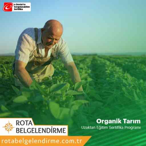 ROTA-EGT-0066-organik-tarim