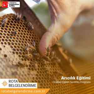 Aricilik sertifika programi