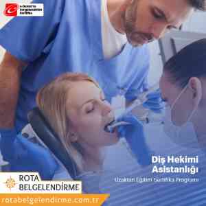 Dis hekimi asistani sertifika programi